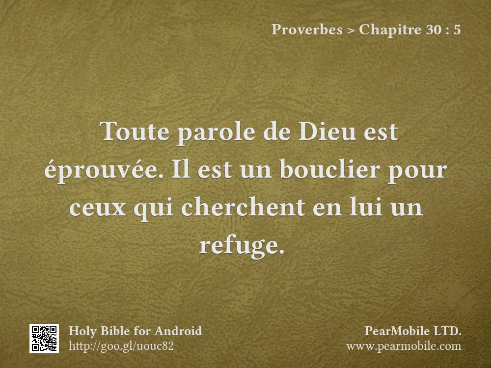 Proverbes, Chapitre 30:5
